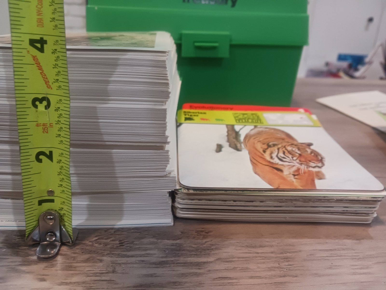 Vtg 1970s ILLUSTRATED WILDLIFE TREASURY Box & Recontre, Approx 500 Cards Extras