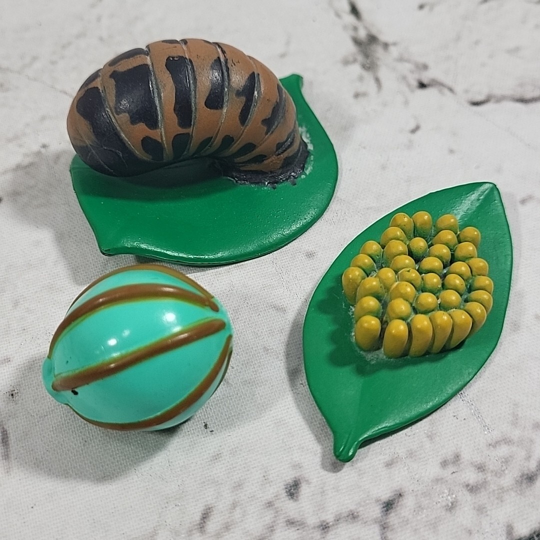 Jumbo Bugs Insects Figures Caterpillar Fly Tadpole Frog Eggs Science Nature Lot