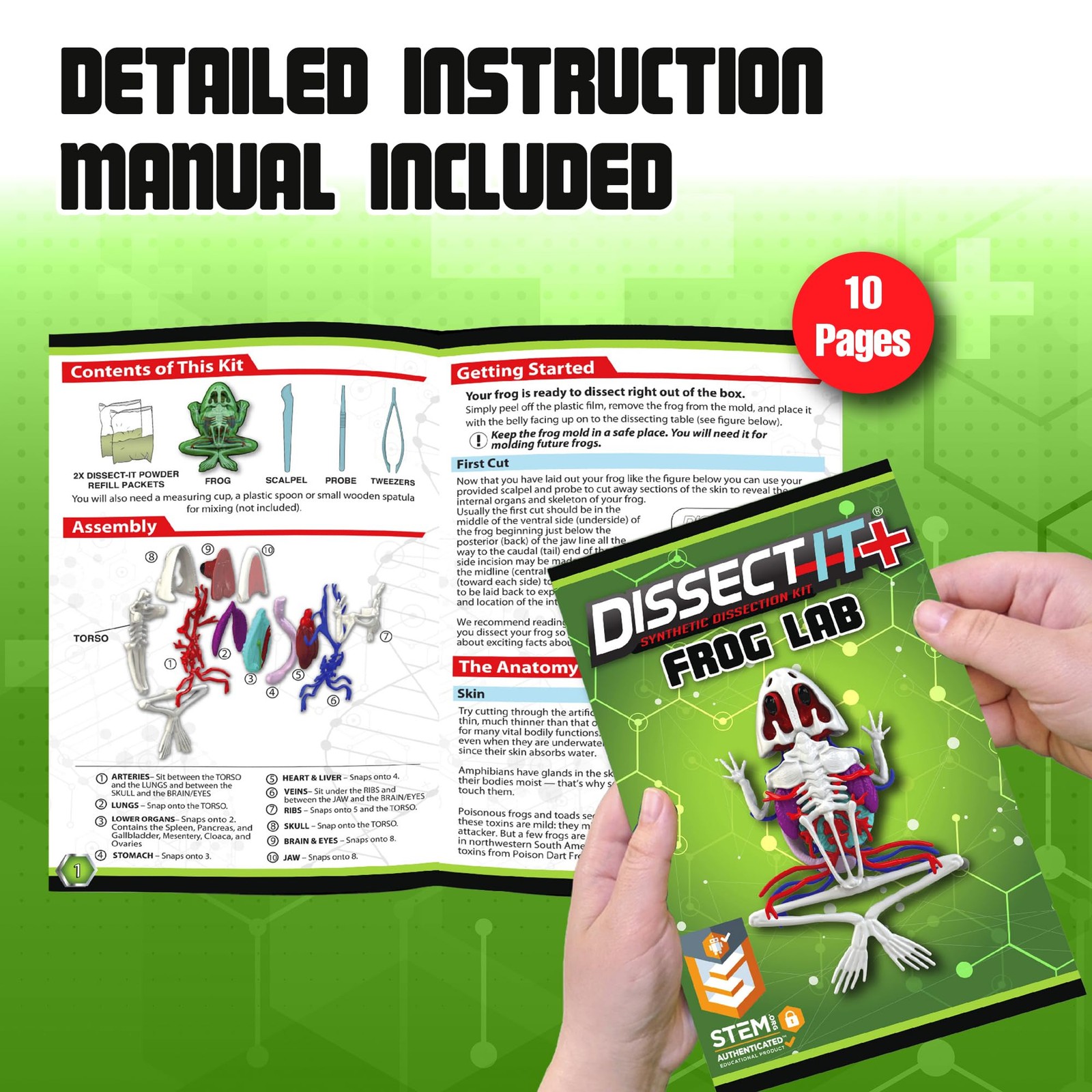 Dissect It Dissect-It Upgraded Frog Dissection Toy Kit Lab Experience