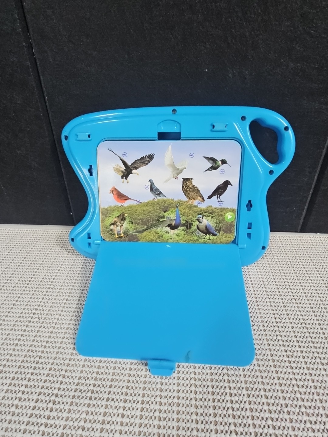 Smart Play Pad Game Electronic Learning Animal Planet Animals Of The World 3+
