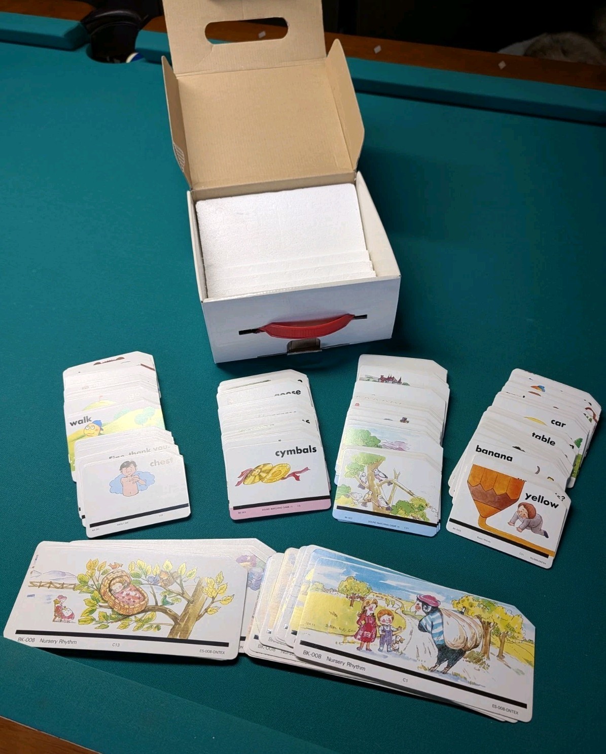 Audio Picture Learning Cards By Charlie 248 Cards For Use W/TK-348 Card Player