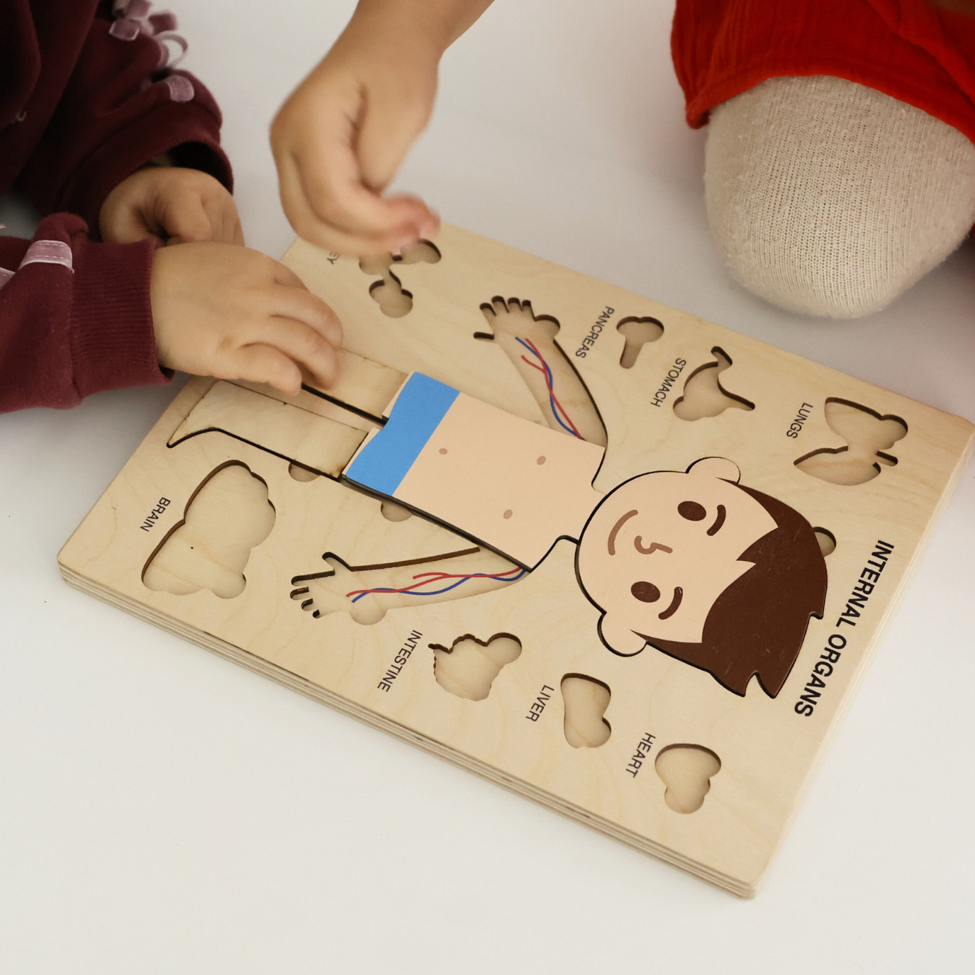 Montessori Wooden Human Body Puzzle – Organs & Stand, STEM Educational (Ages 3+)