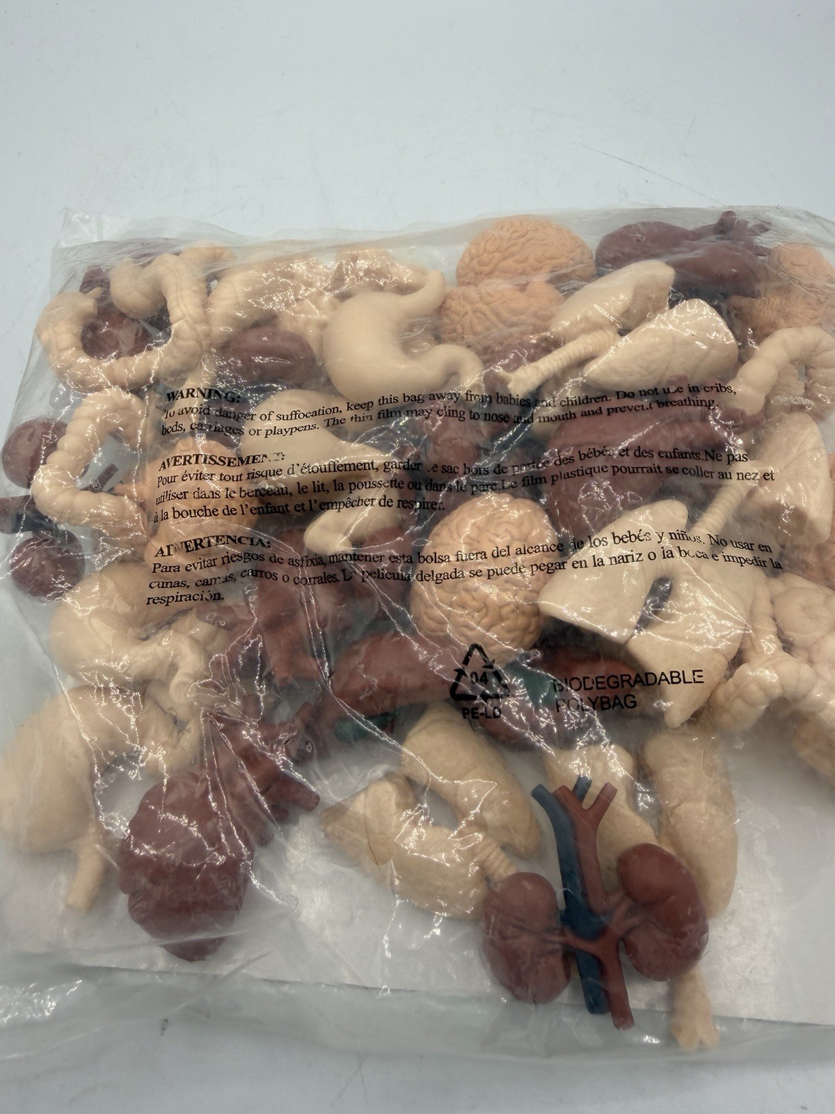 Safari Ltd Human Organs 48 Pieces Bulk Bag