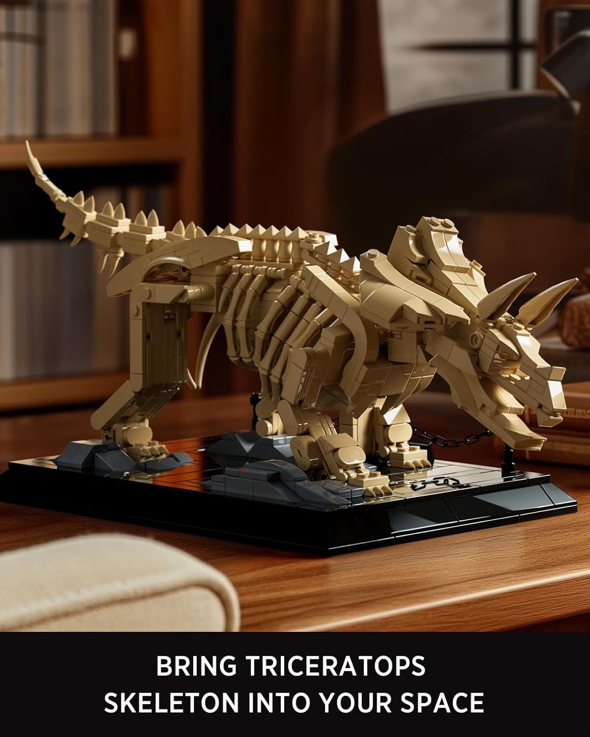 Triceratops Fossil Model Set, Dinosaur Skeleton Building Set for Adults and Coll