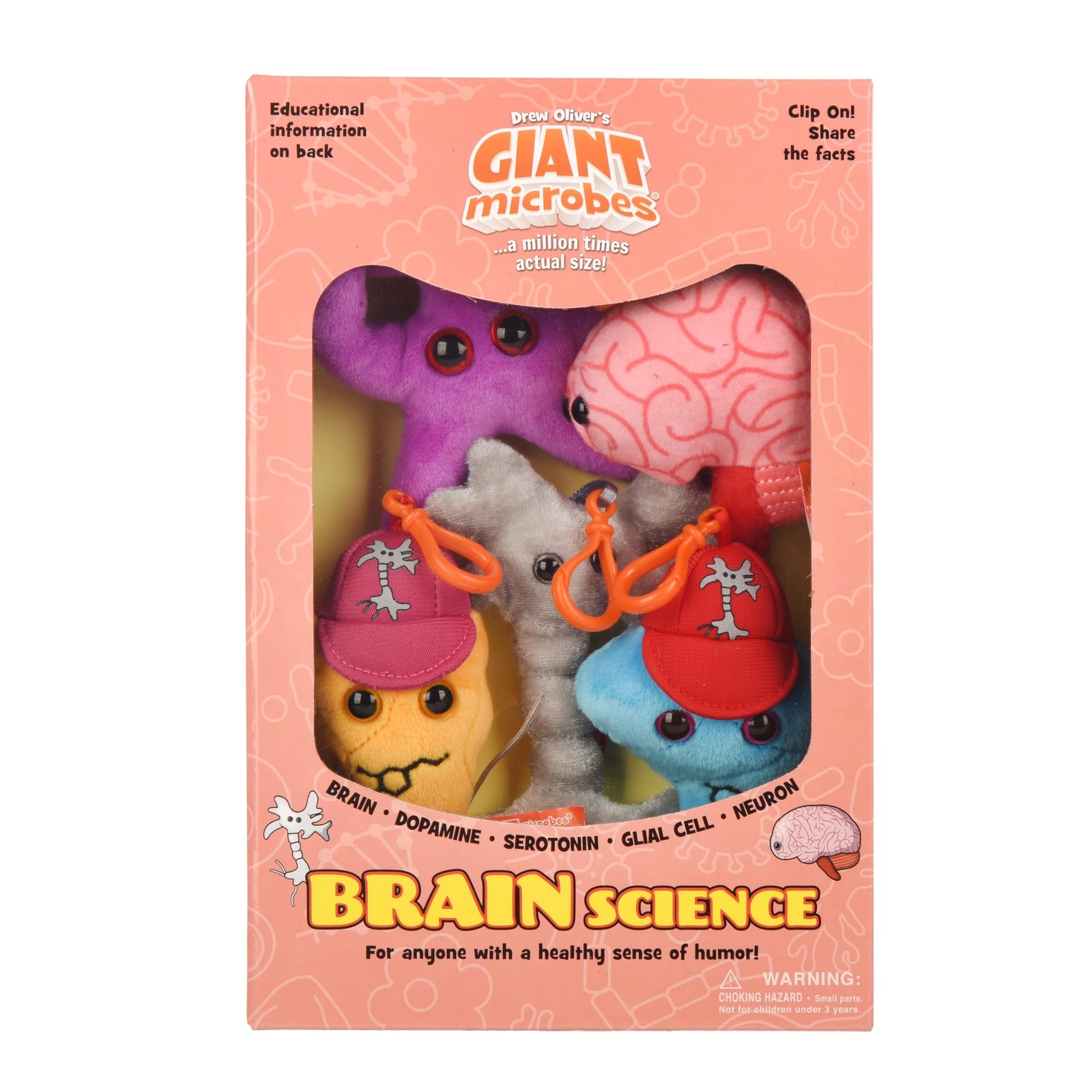 Brain Science Themed Gift Box, Brain Gifts, Neurology, Psychology Gifts, Plus…