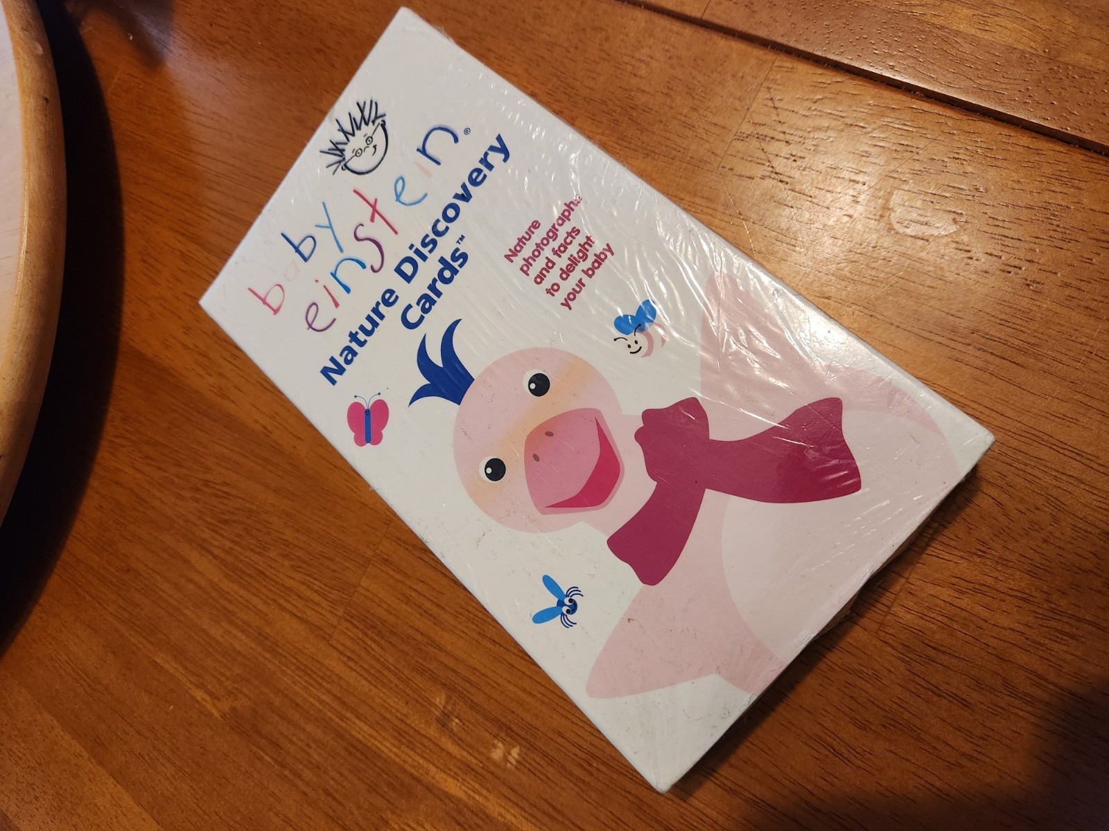 Baby Einstein Nature Discovery Cards 2003 Walt Disney Company