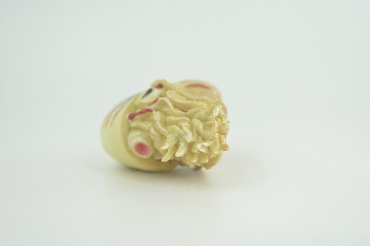 Nautilus Toy, Museum Quality, Hand Painted Rubber Gifts, 4 Inches. CH1009 BB217