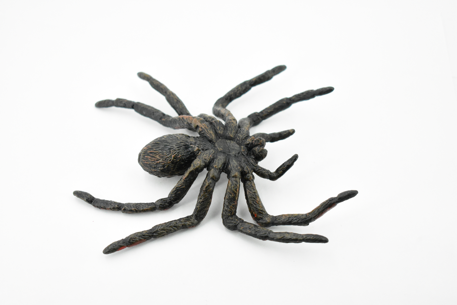 Wolf Spider, Hand Painted, Realistic Figurine, Model, Gift 5″ CH186 BB115