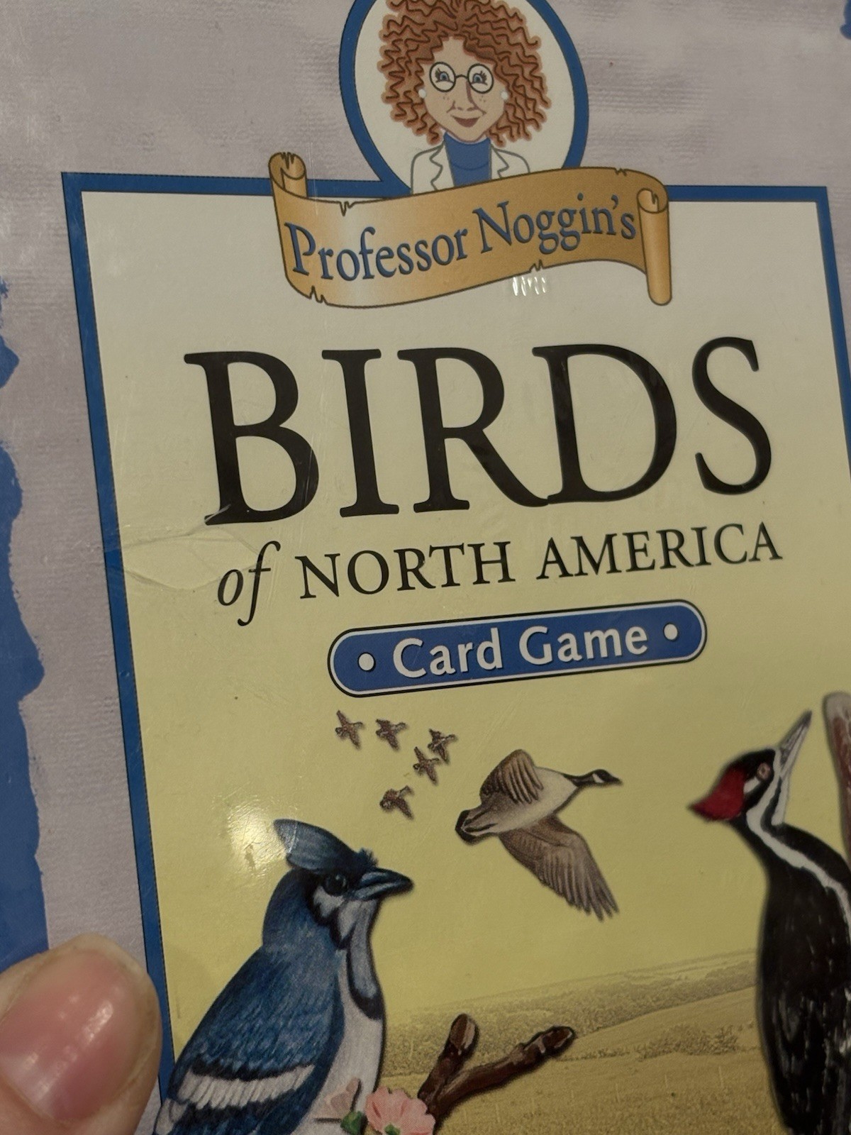 NEW Lot of 2 Professor Noggin’s Card Games National Parks & Birds North America