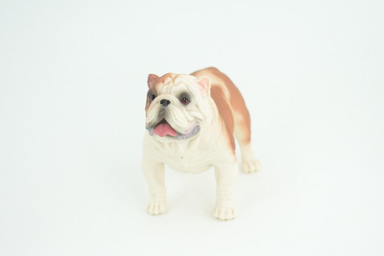 English Bulldog Toy, Realistic Hand Painted Rubber Model, 5 Inches CH844 BB197