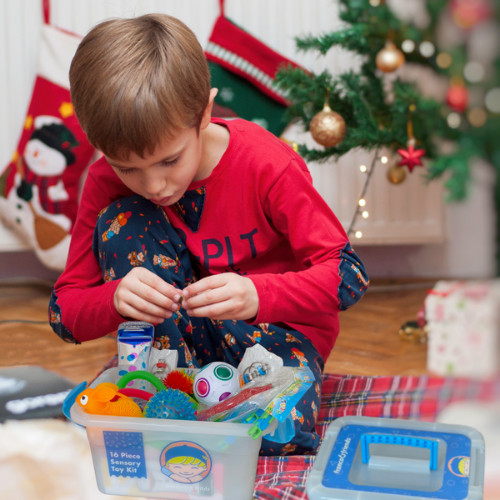 Franco & Friends Autism Sensory Toy Kit