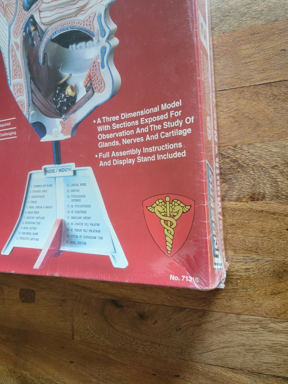 Lindberg Science Kits: Nose/Mouth Skill Level 2 New Unassembled Healthcare Model