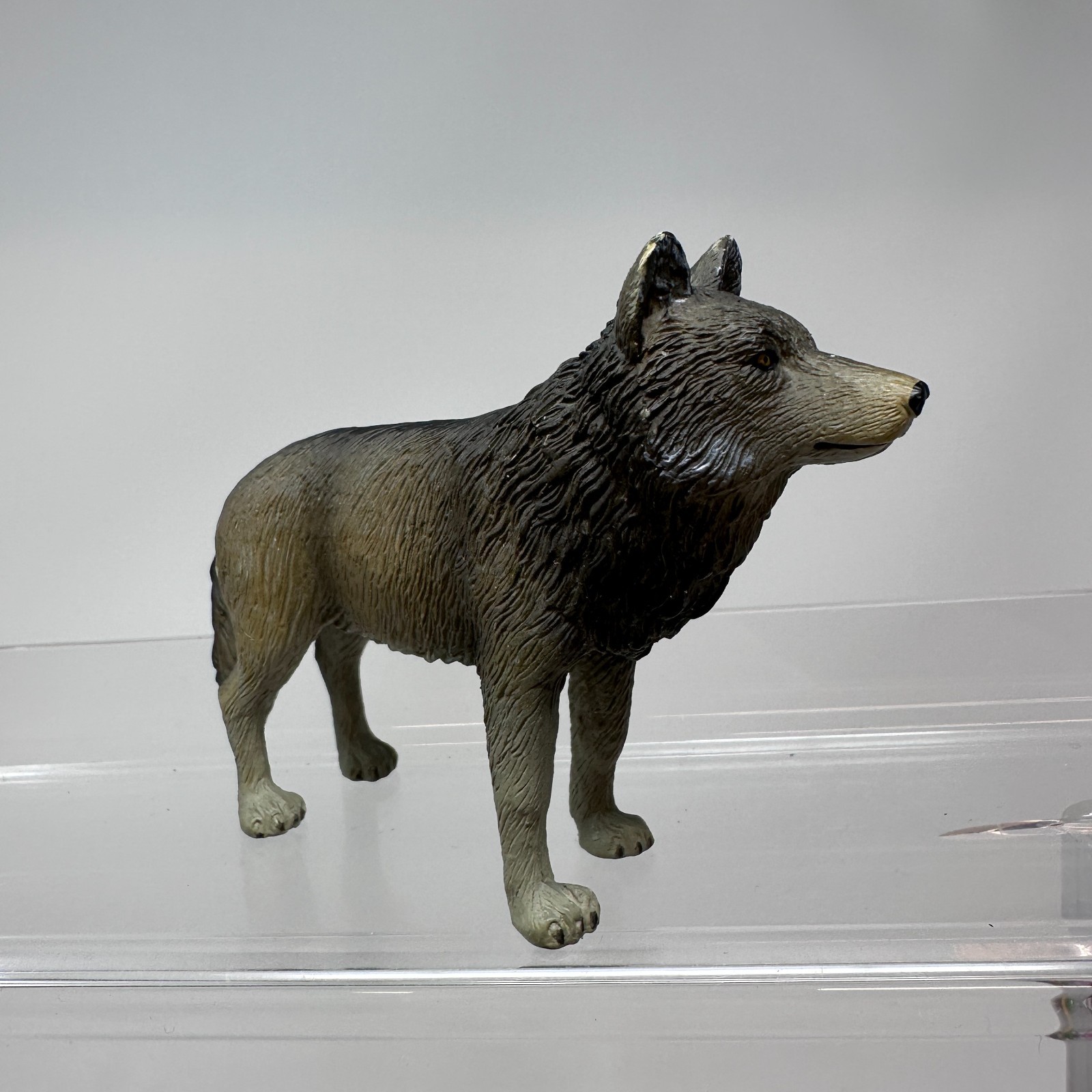 Mojo Timber Wolf Figure Gray Wildlife Jungle Zoo Wild Dog Animal 3.5″ 2010