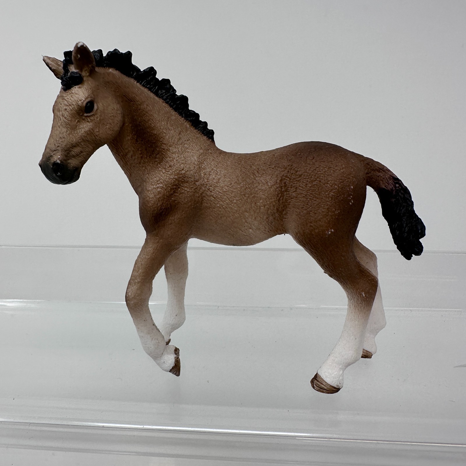 Schleich Andalusian Foal Figure Brown Baby Colt Horse Farm Animal Figurine 2016