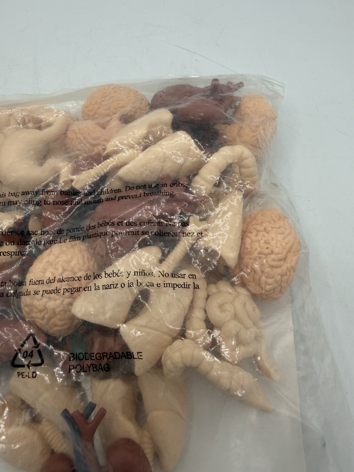 Safari Ltd Human Organs 48 Pieces Bulk Bag