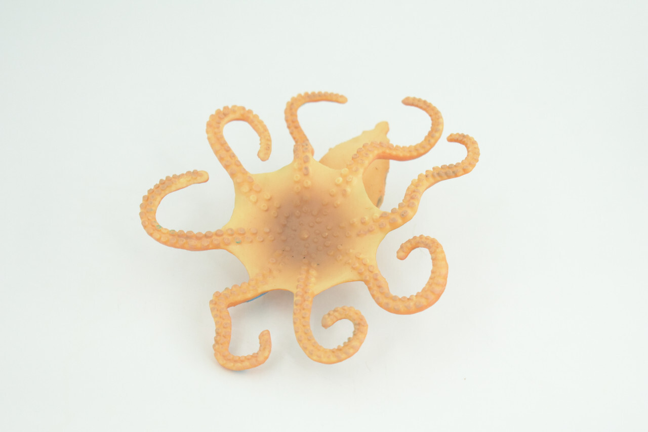 Blue Ringed Octopus Toy, Realistic Hand Painted Rubber Model, 4 1/2″ CH850 BB197