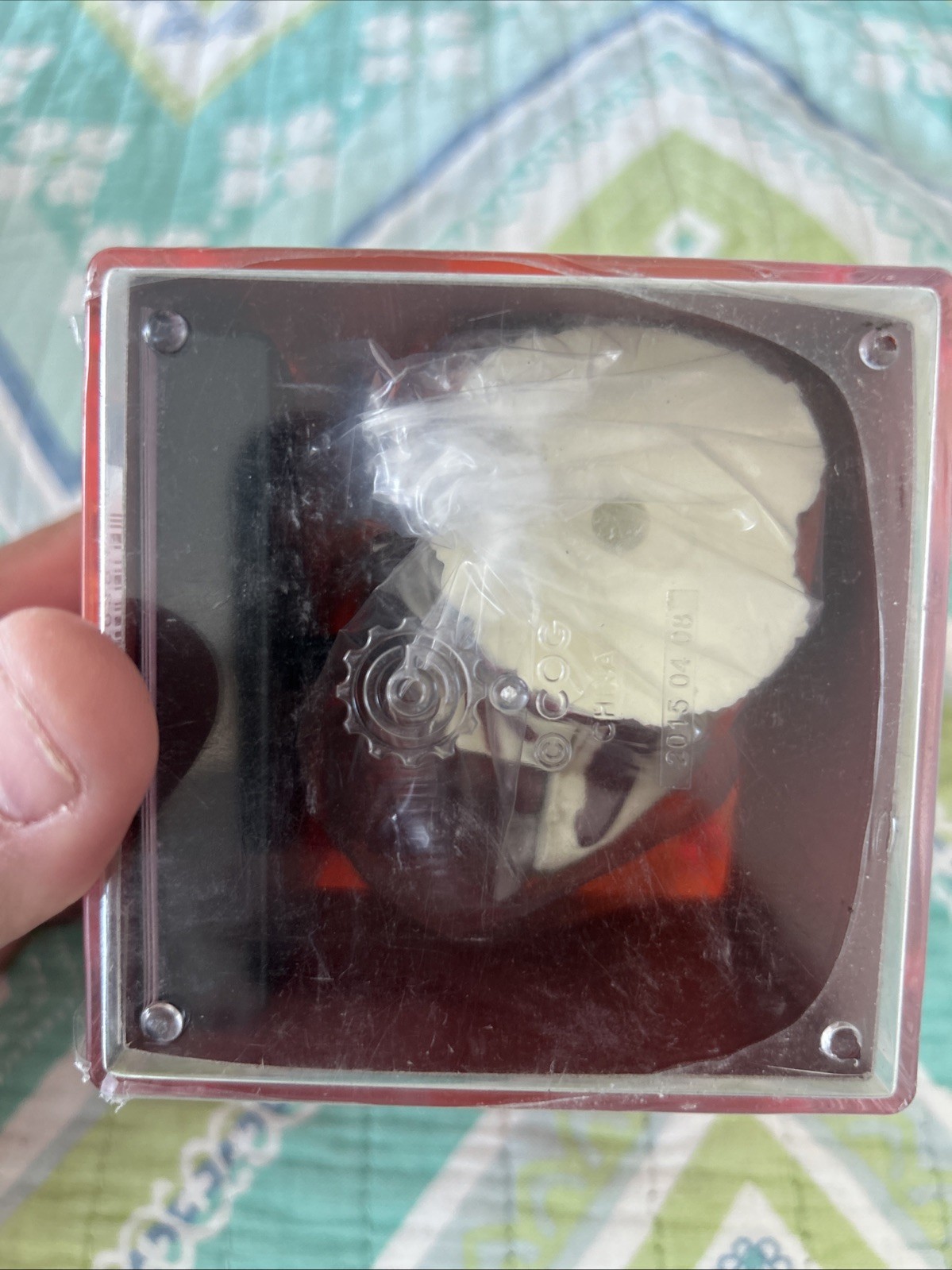 Tedco Toys Brain & Skull Signs Biology Model Student Human Anatomy Model