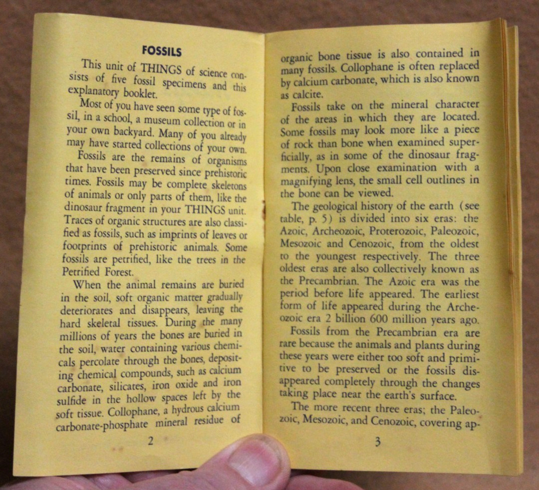 1963 THINGS of Science FOSSILS Unit No 274 by Science Service included 3 fossils
