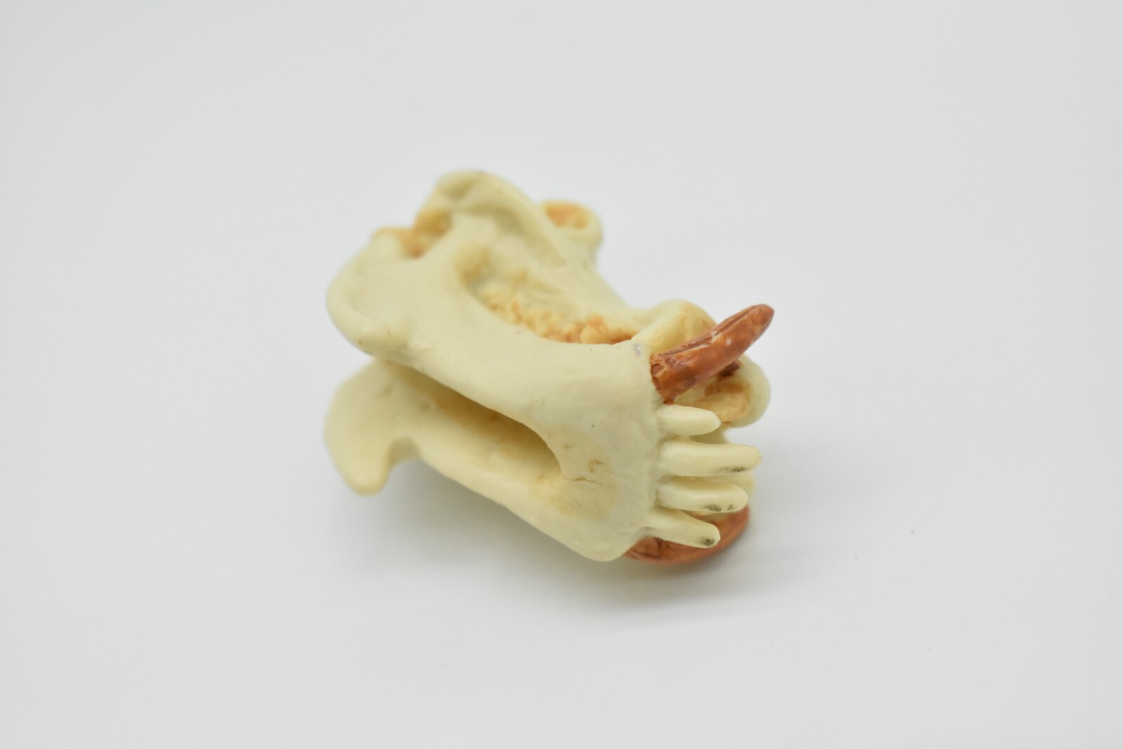 Hippo Skull, Hippopotamus Toy, Realistic Plastic Model 2 inches long