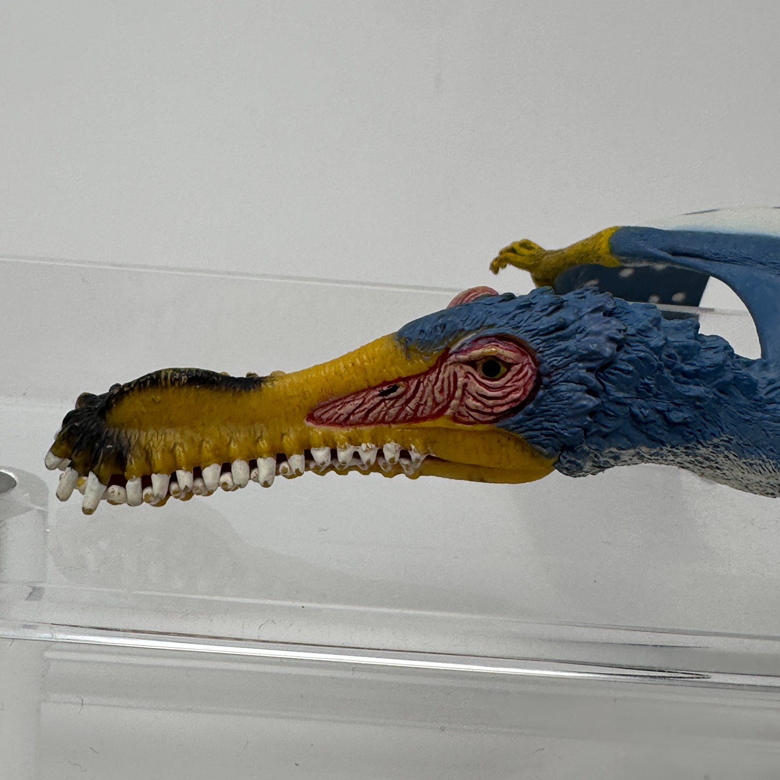 Schleich Anhanguera Figure Blue Prehistoric Dinosaur Animal Figurine 5.5″ 2014