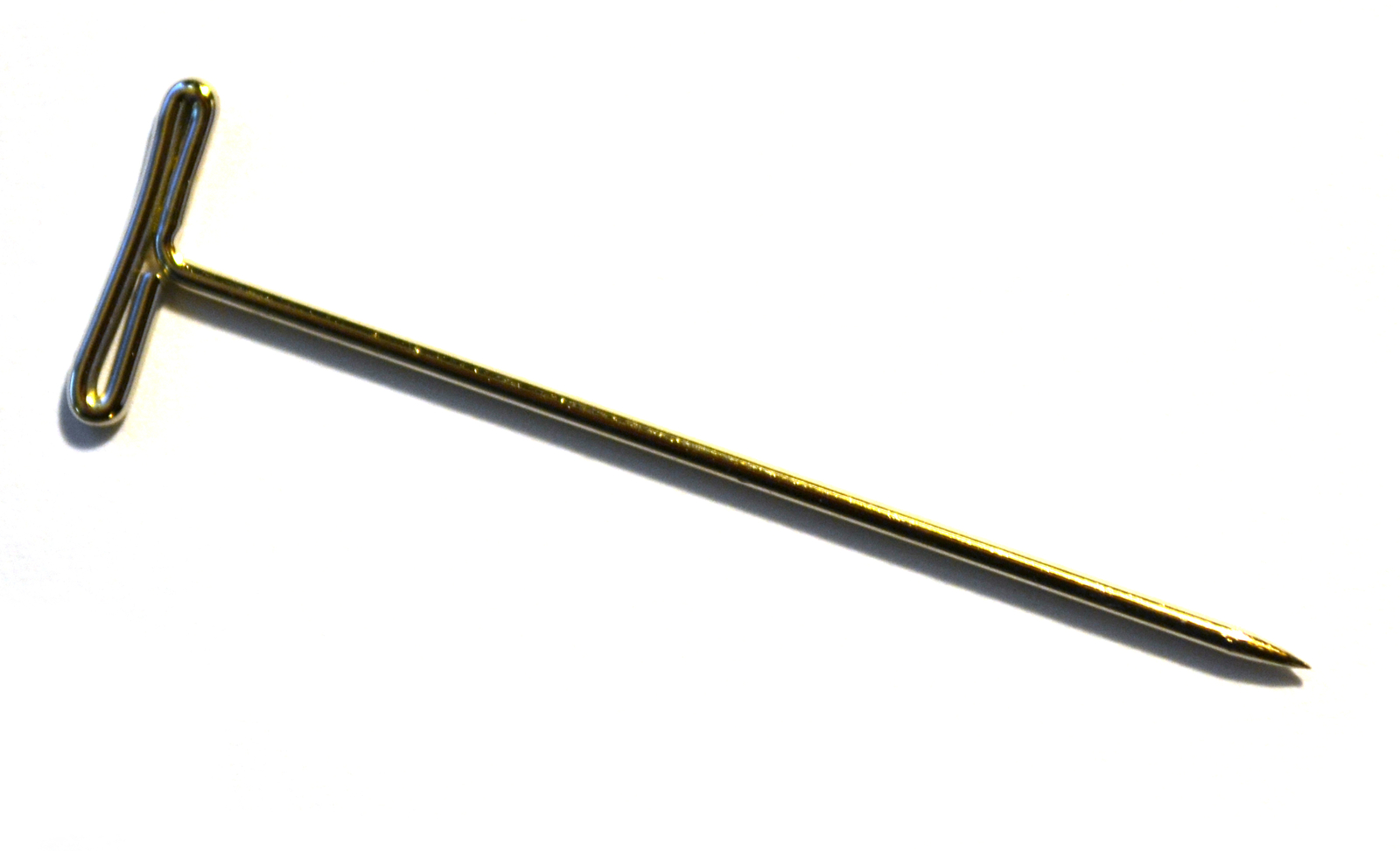 Eisco Labs Nickel Plated Dissection T-Pins, 2″ Length, 9/16″ Head, Pack of 100
