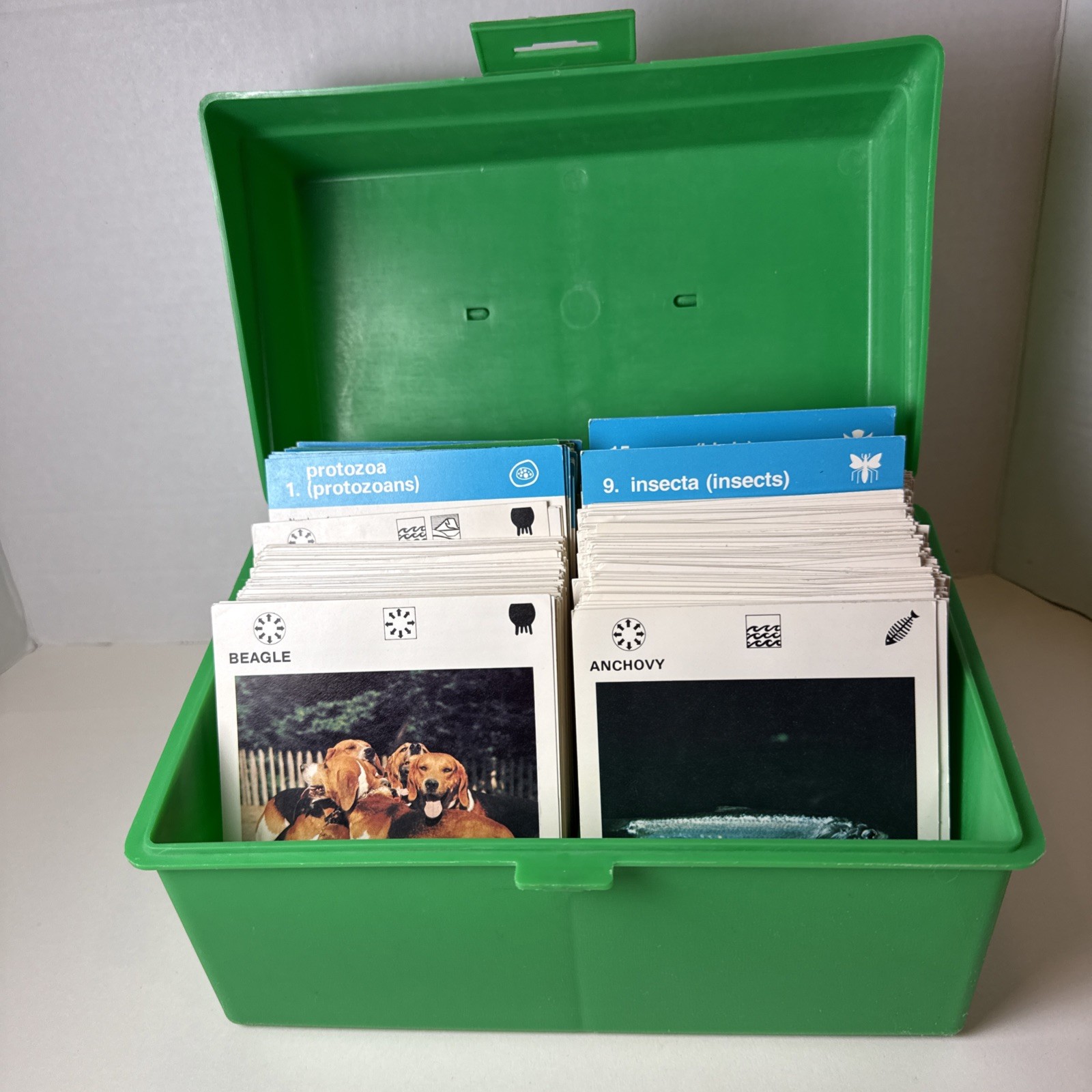 Vtg Illustrated Wildlife Treasury 465 Animal Fact Cards Dividers Case 1970s