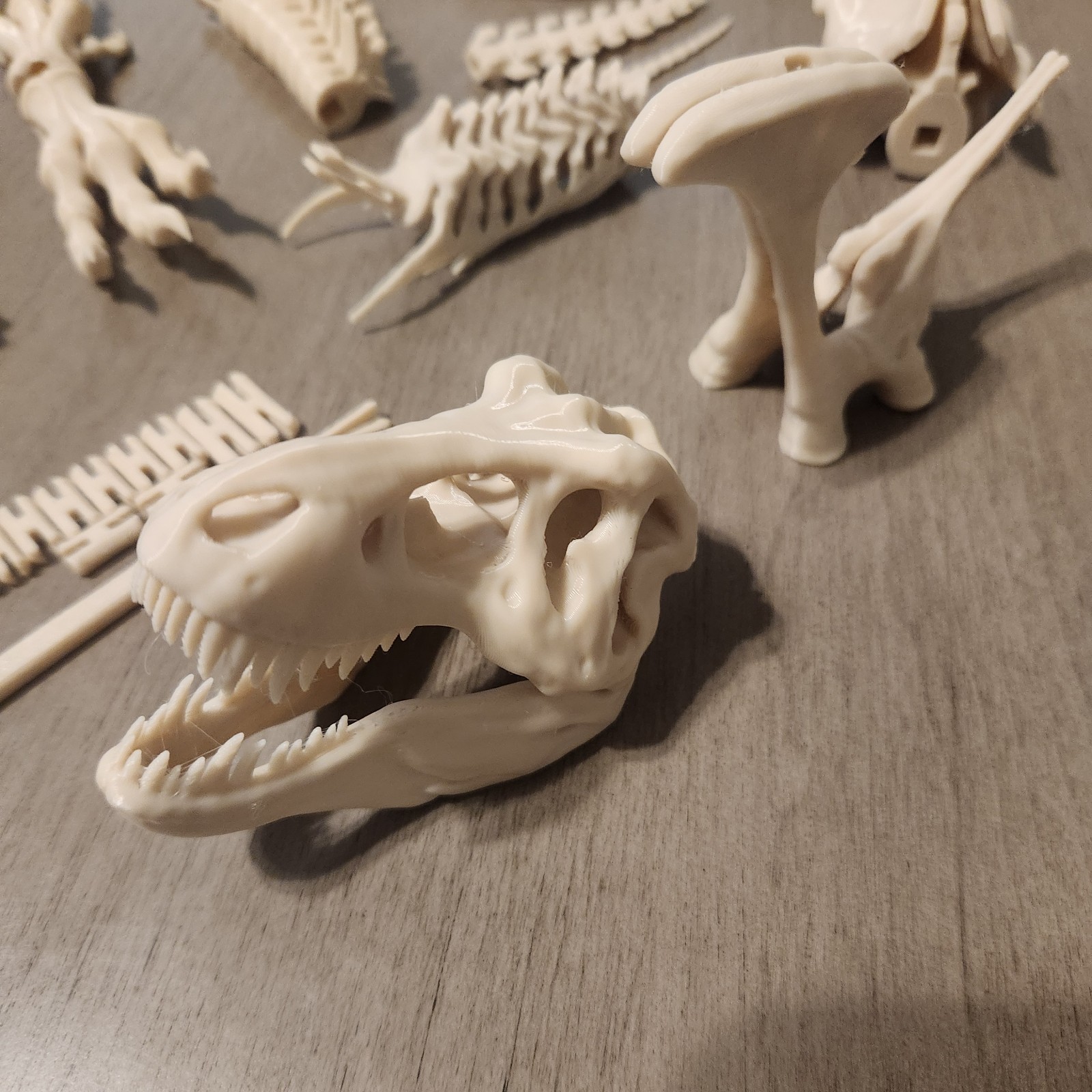 Trex Full Skeleton “Bone white” Assembly Kit