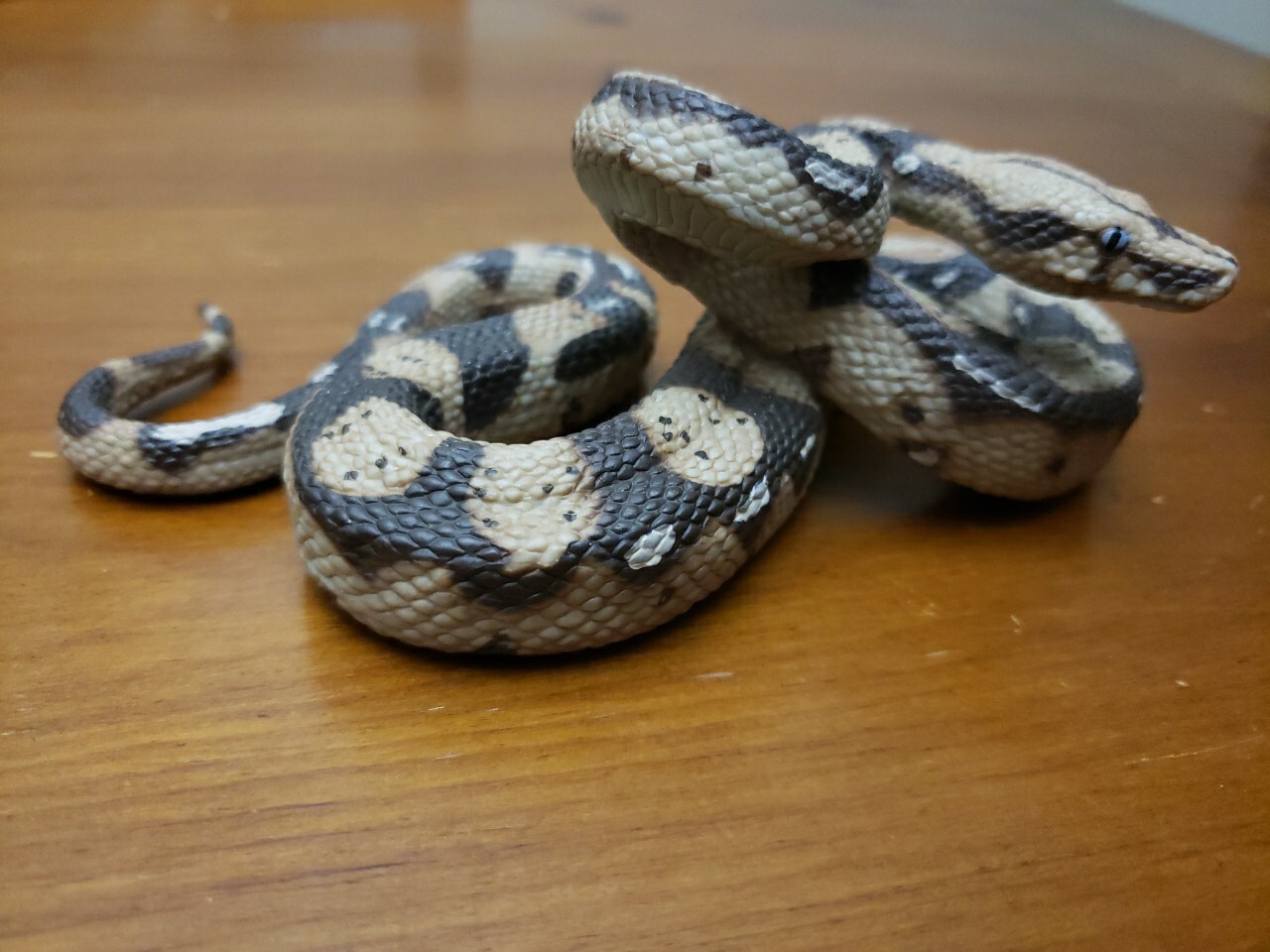 Boa Constrictor Python Realistic Toy Snake Education Prank Safari Ltd Animal Fig