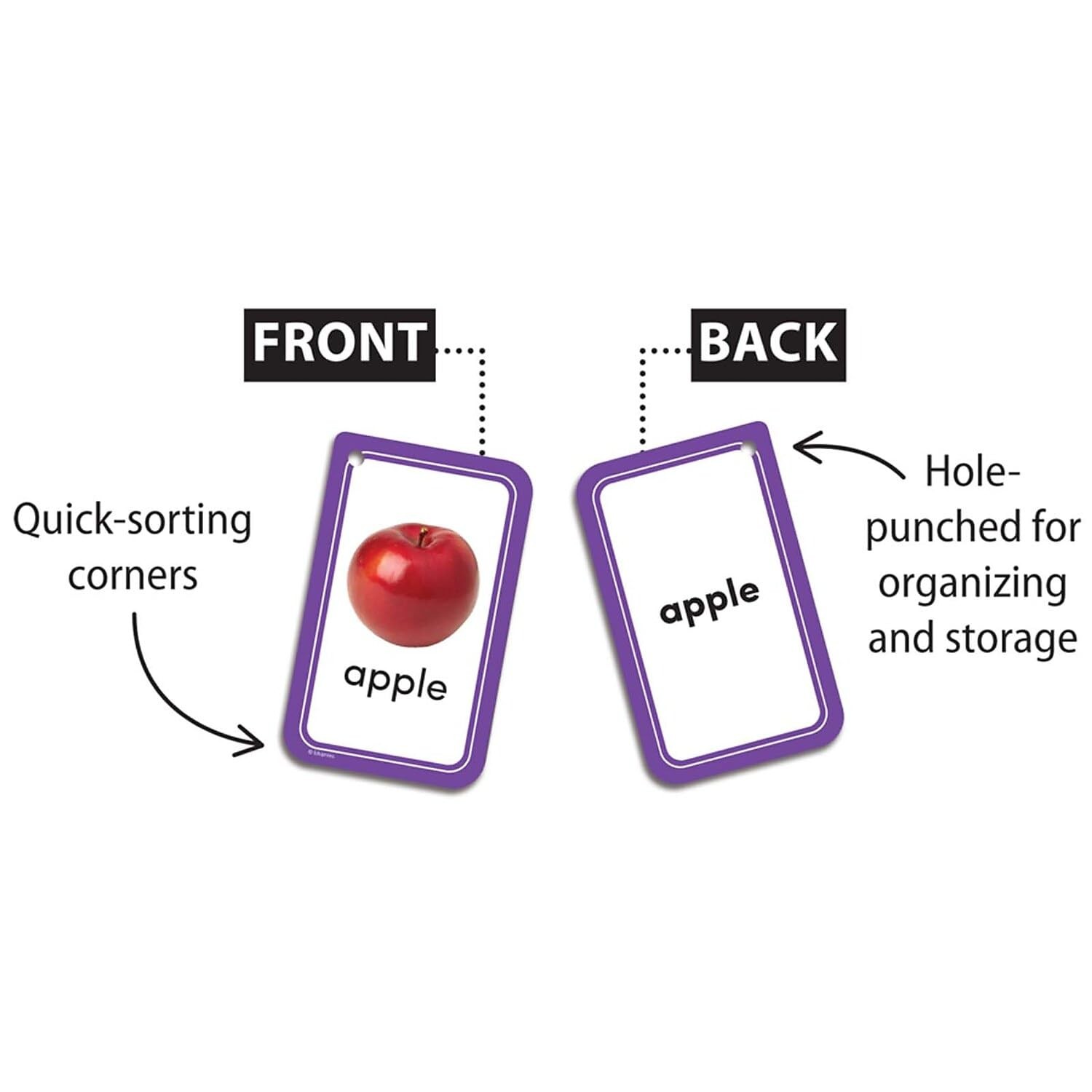Picture Words Flash Cards EP62042