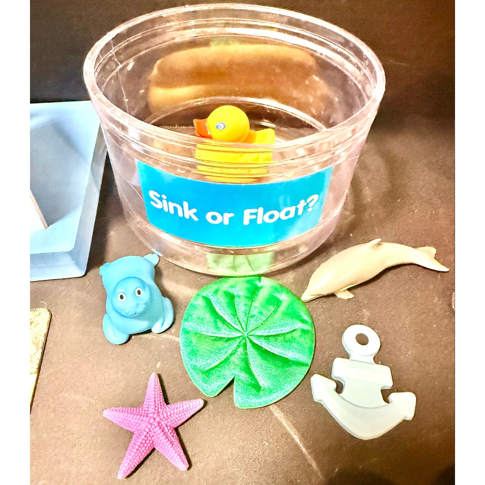 Lakeshore Toddler Science CenterExplore hands on STEM complete