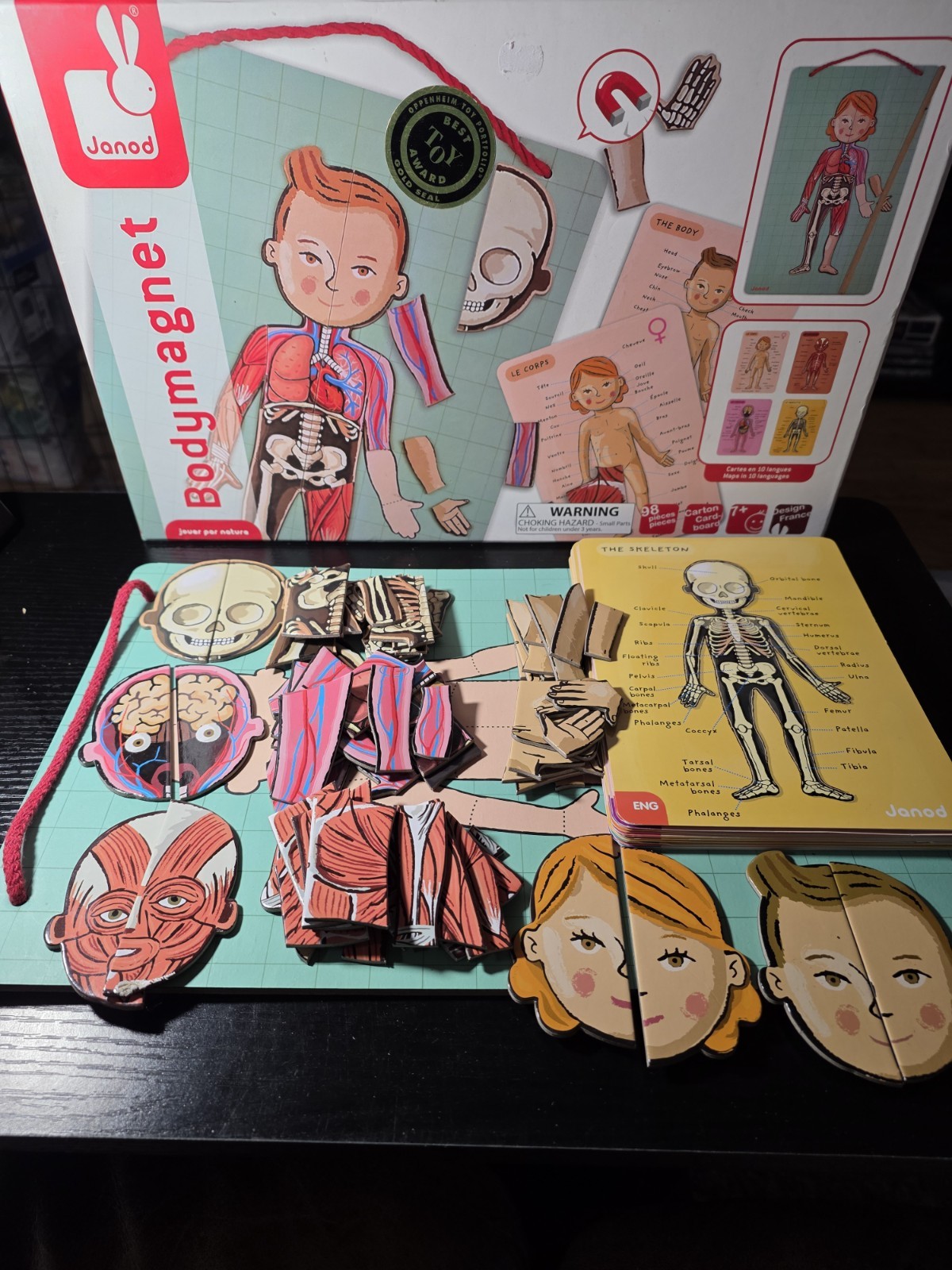 💯Complete-Janod Magnet Human Body Educational Game 11 Languages Skeletal Muscle