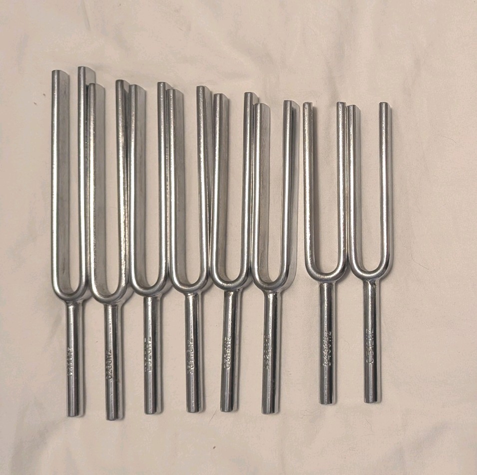 Eisco Scientific Steel Tuning Forks, Set of 8 PH0738ALT