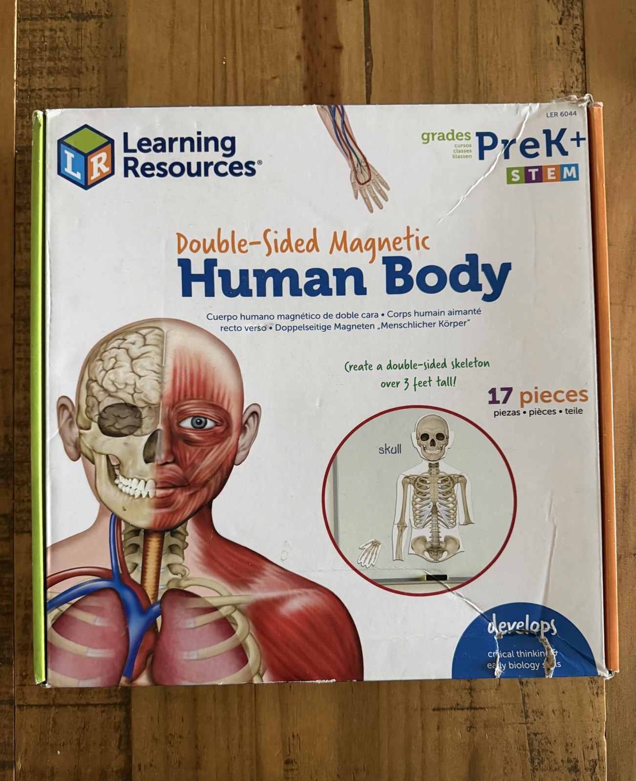 Body Human Body learning For Children Set Of 3 Montessori Hands on Learning