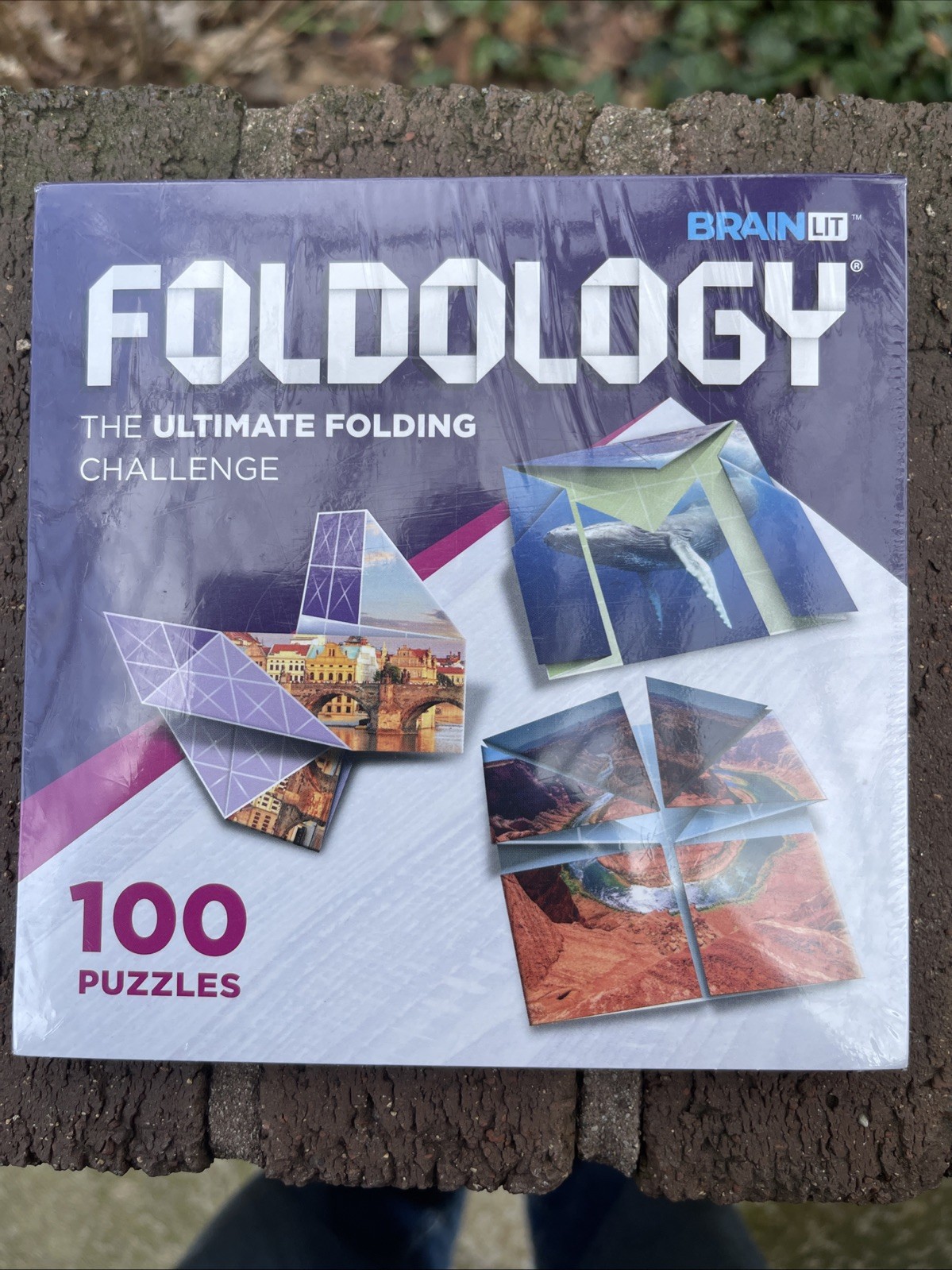 Foldology Origami Puzzle Game HandsOn Brain Teasers Fold Paper New Sealed Book