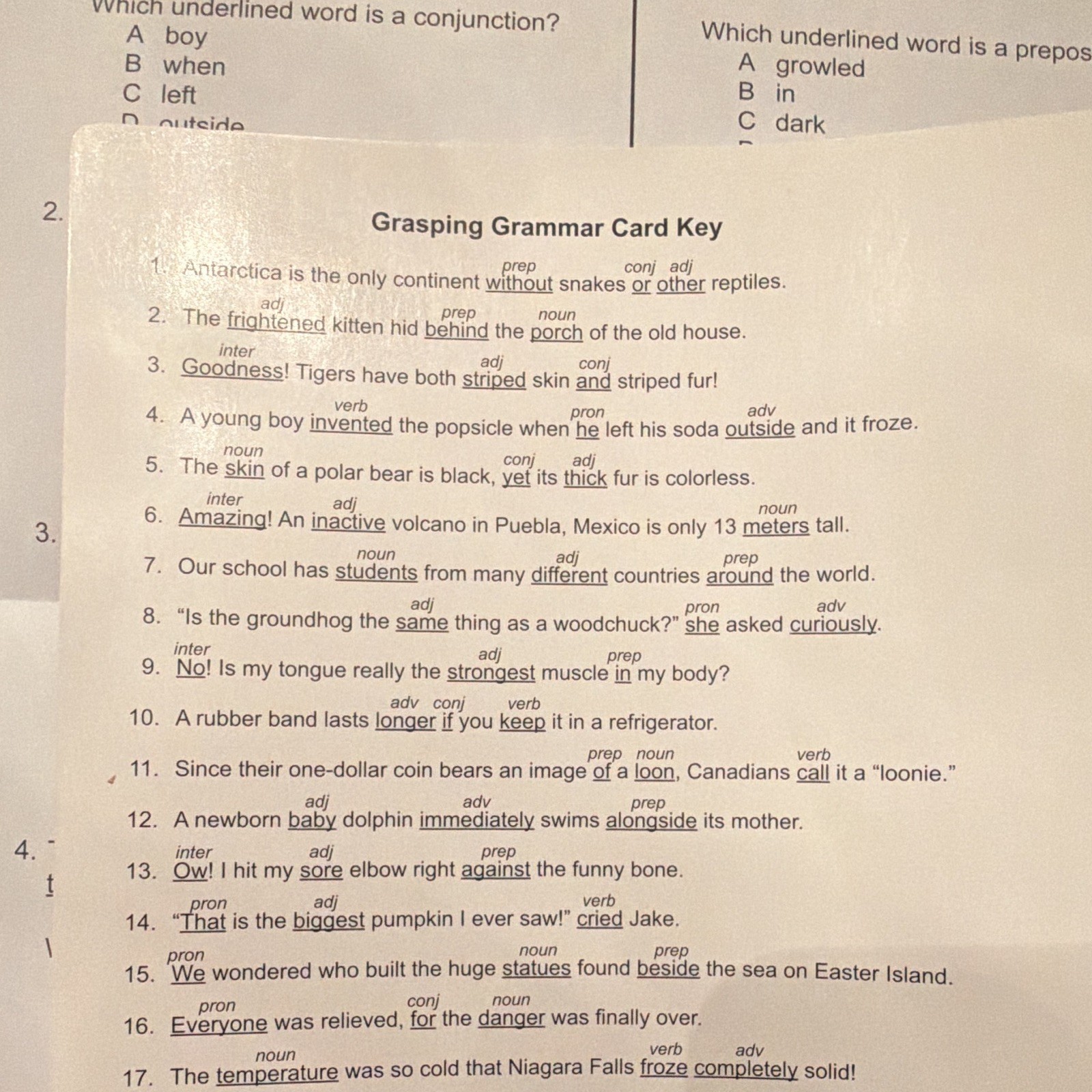 WCA Games That Teach! Grasping Grammar Parts of Speech Game WCA 6252