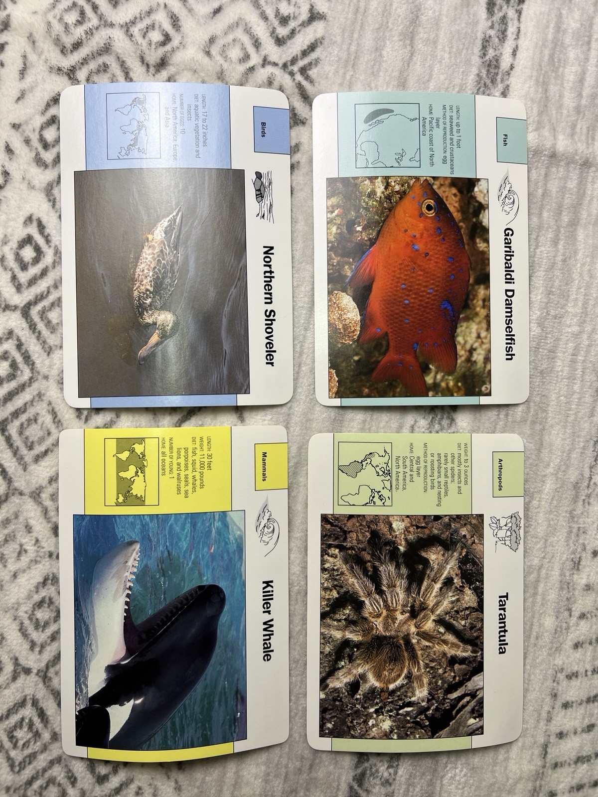 Grolier Wildlife Adventure Cards Box Animals Educational Homeschool 1990s