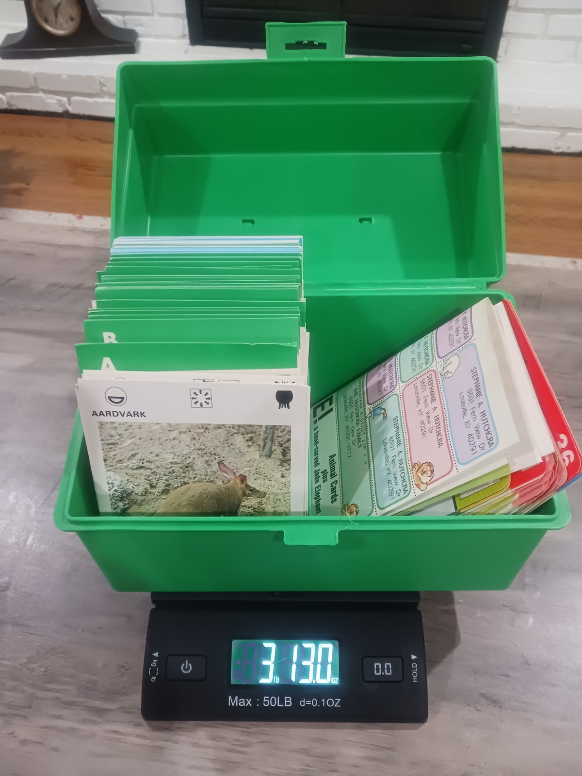 Vtg 1970s ILLUSTRATED WILDLIFE TREASURY Box & Recontre, Approx 500 Cards Extras