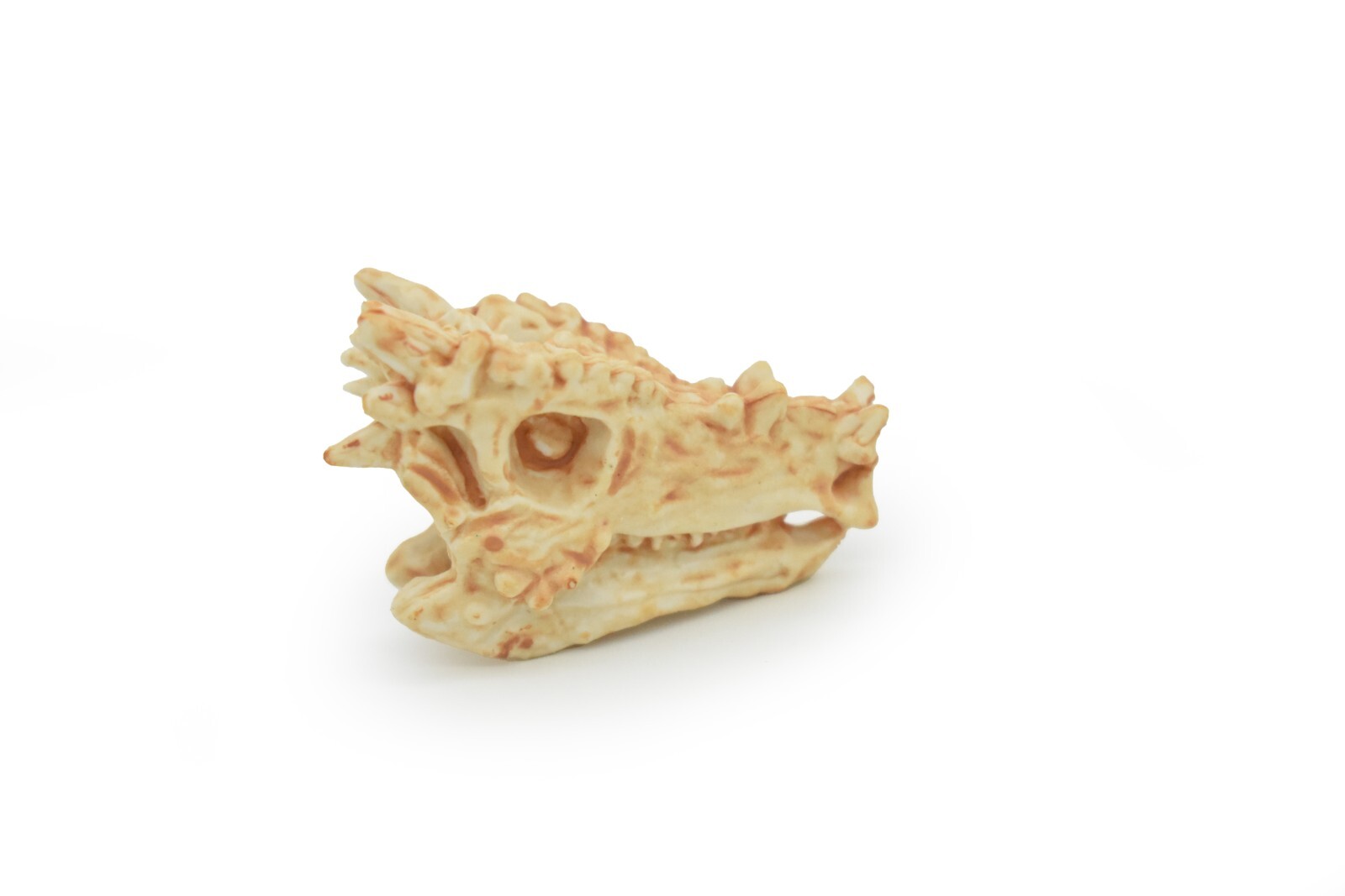 Pachycephalosaurus Thick-Headed Lizard Skull Fossil Very Realistic Toy Model 2″