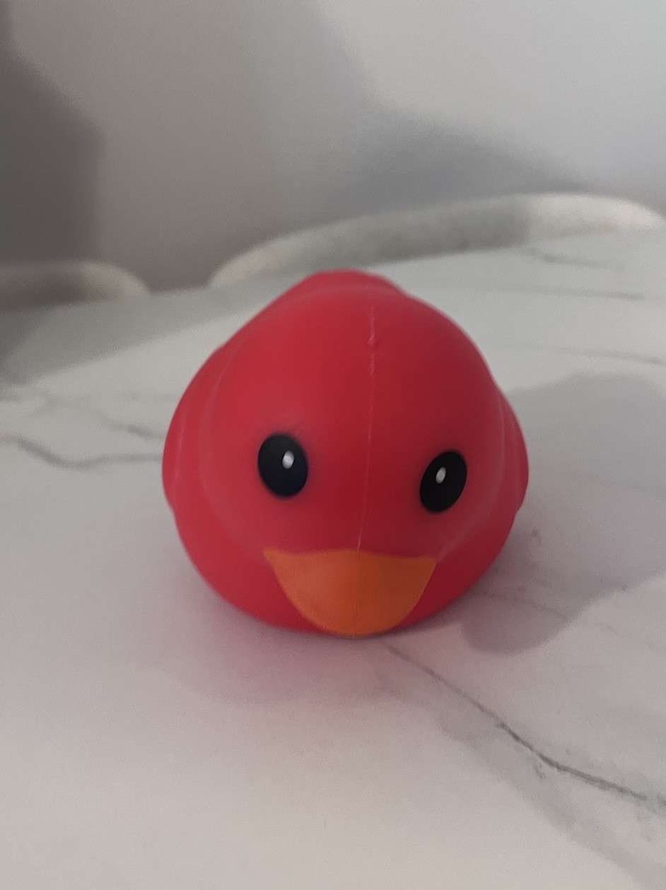 Sunny Days Jumbo Red Squishy Duck Stress Toy New Sealed