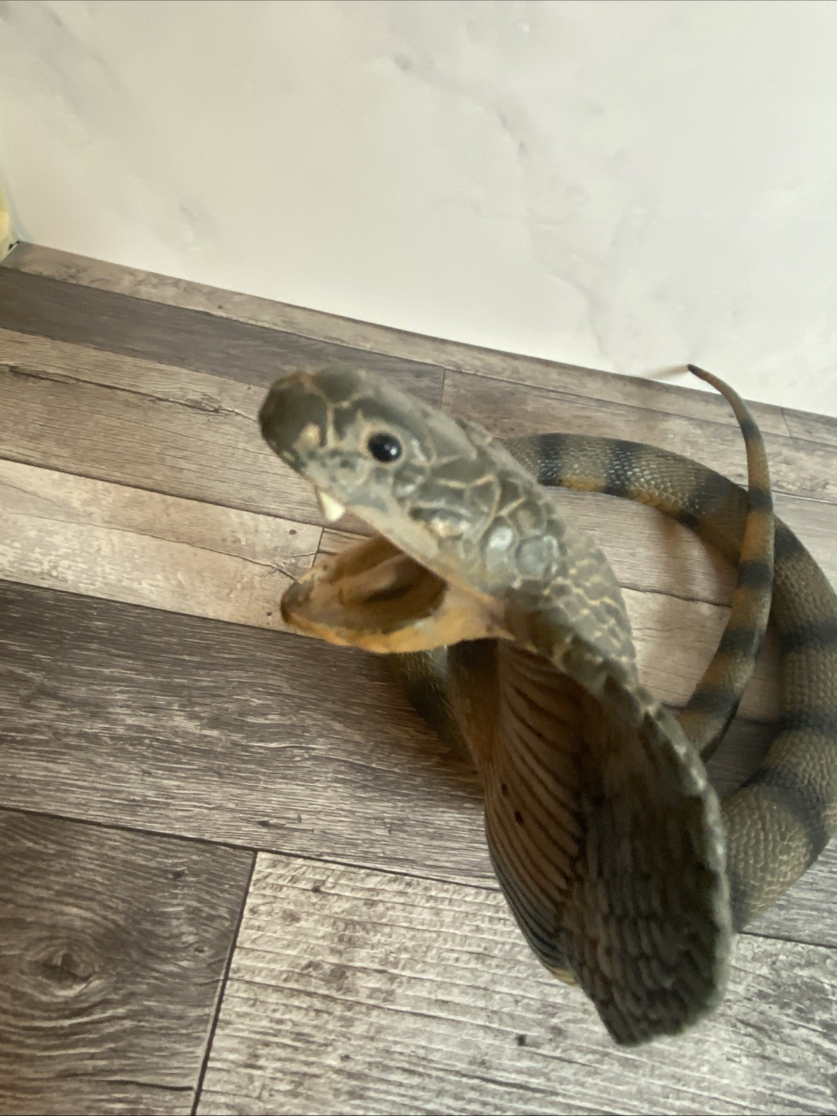 Safari Ltd. Cobra Snake Figure Bendable 34″ Realistic Reptile Vintage 1998 Toy