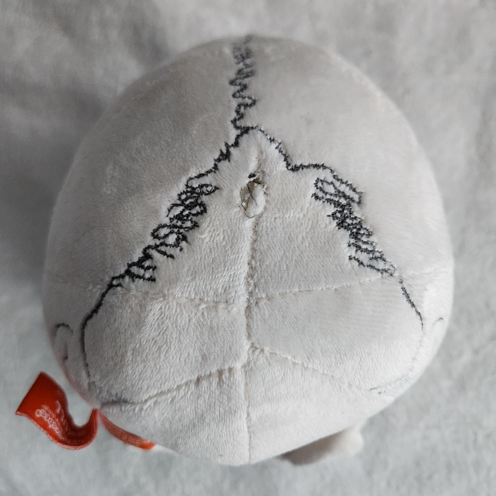 Giant Microbes Plush Skull – Life Size (ish) Anatomy Physiology Skeleton