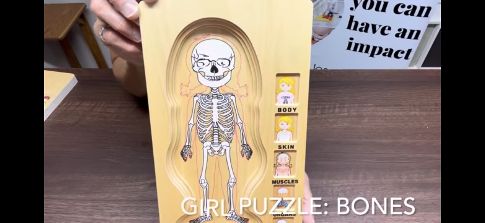 NEW discovery toys body amazing Girl Human Body 5 Layer Wooden Puzzle