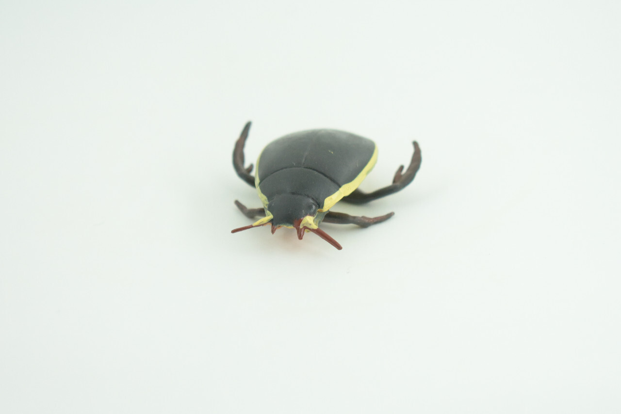 Yellow Edged Diving Beetle Toy Realistic Hand Painted Rubber 2.25″ CH857 BB198