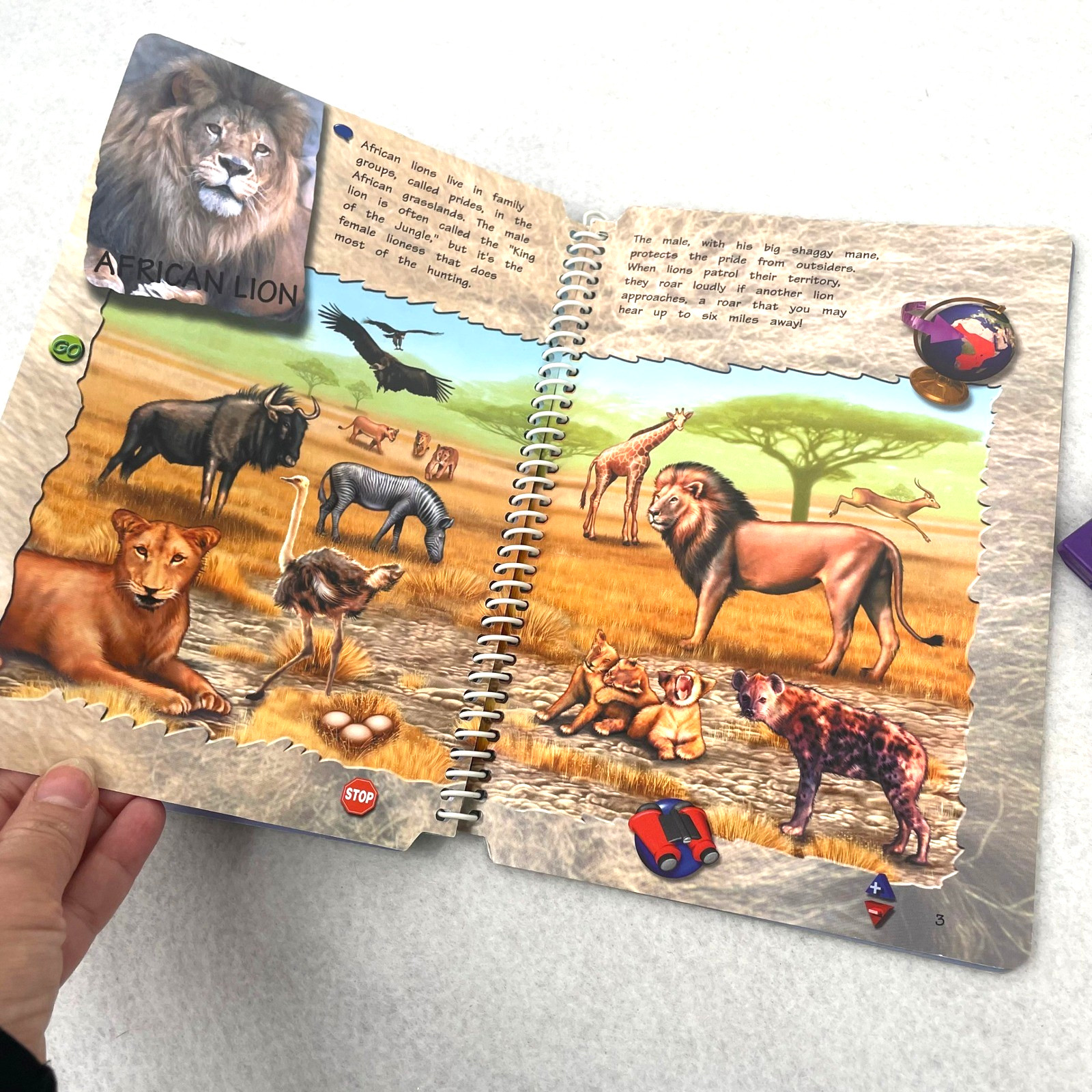 LeapFrog LeapPad 3 Science Amazing Mammals Interactive Book and Cartridge Set