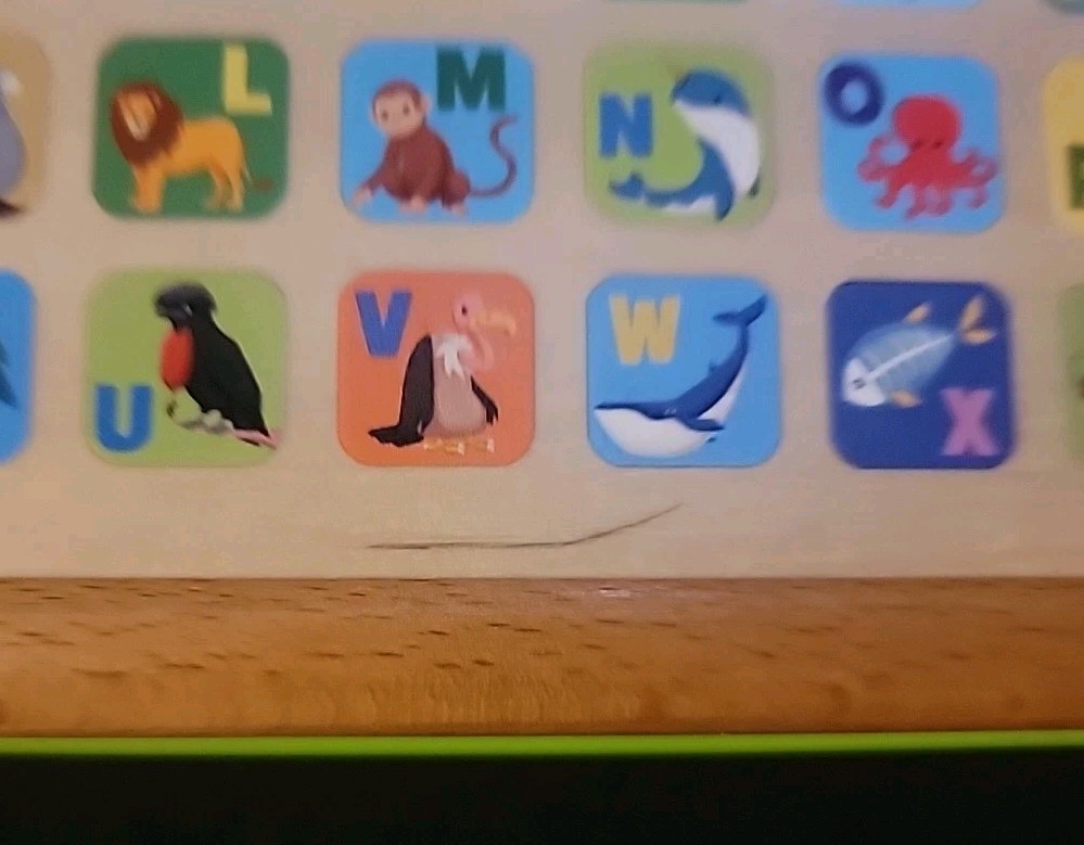 LeapFrog Touch & Learn Nature ABC Board Wooden “Tablet” & LED Screen Games &More
