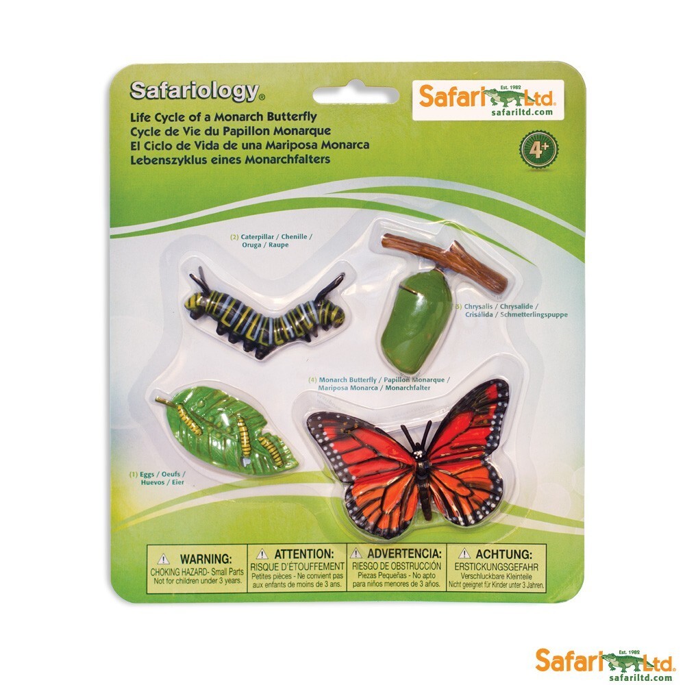 Life Cycle Of A Monarch Butterfly Safari Ltd NEW IN STOCK