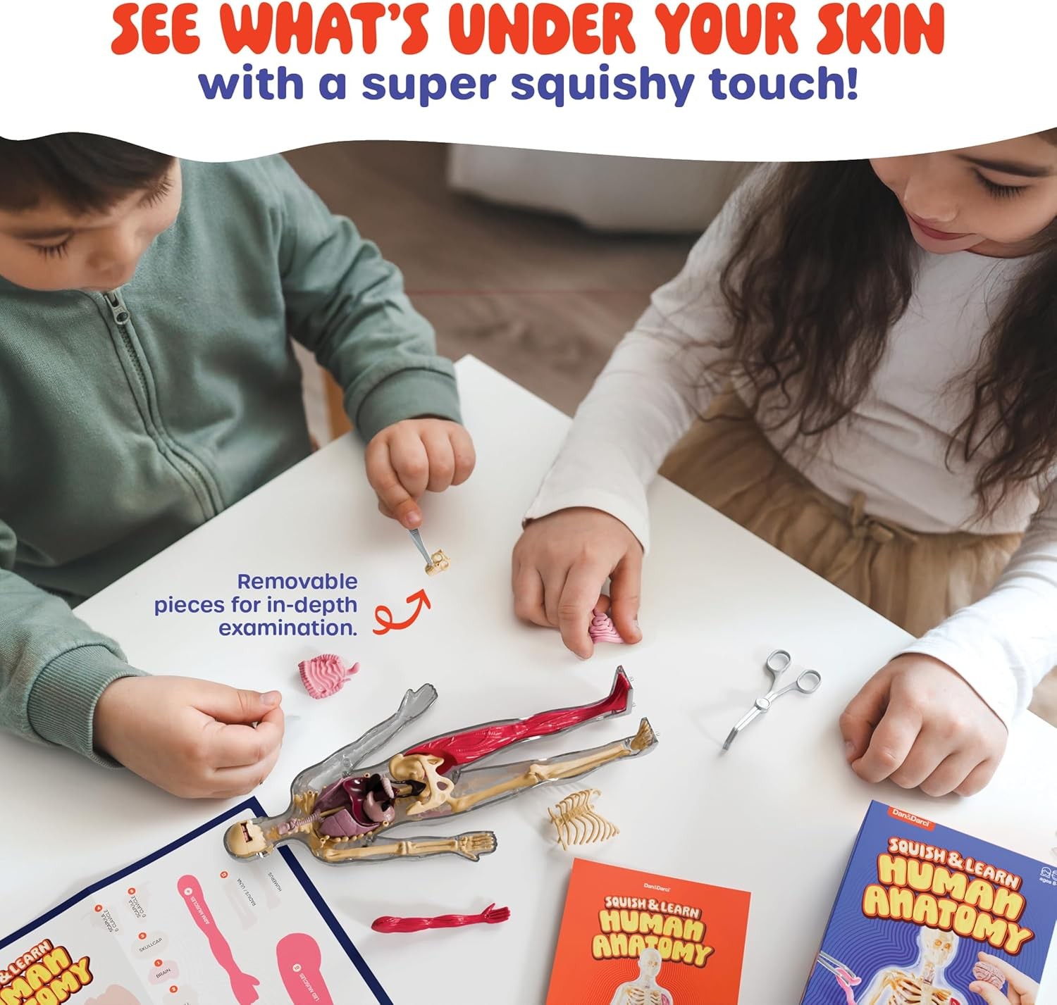 Dan&Darci Human Anatomy Squishy Body Model – Science Kits for Kids Ages 4-8 – ST