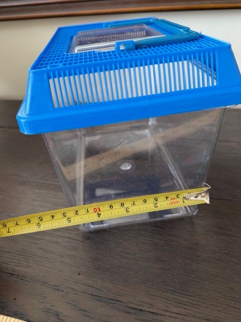 Kids Outdoor Bug Catcher Large Container Insect Specimen Acrylic (GR206)