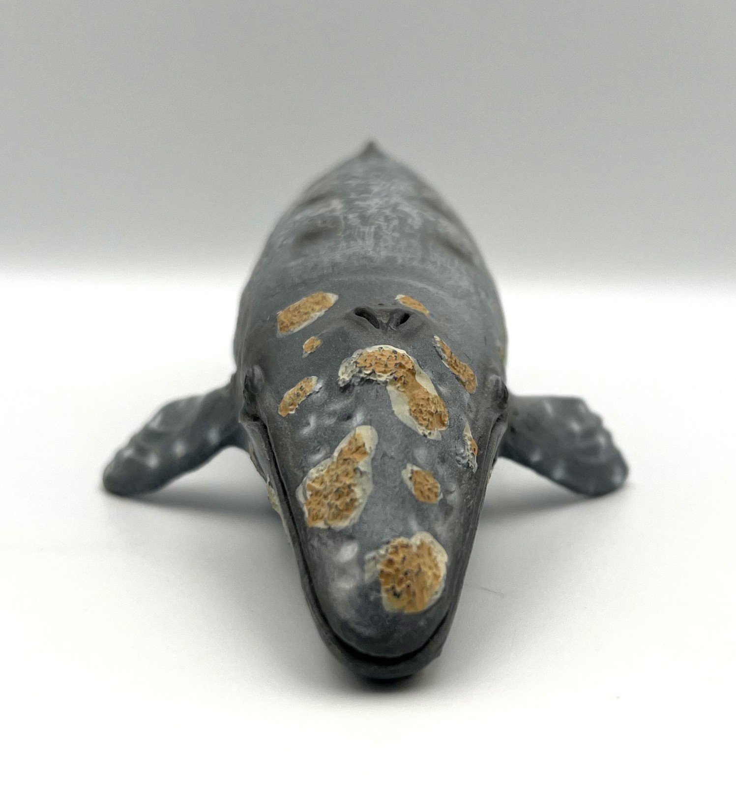 Mojo Grey Whale Figure 2018 Portugal Grauwal 10.5″