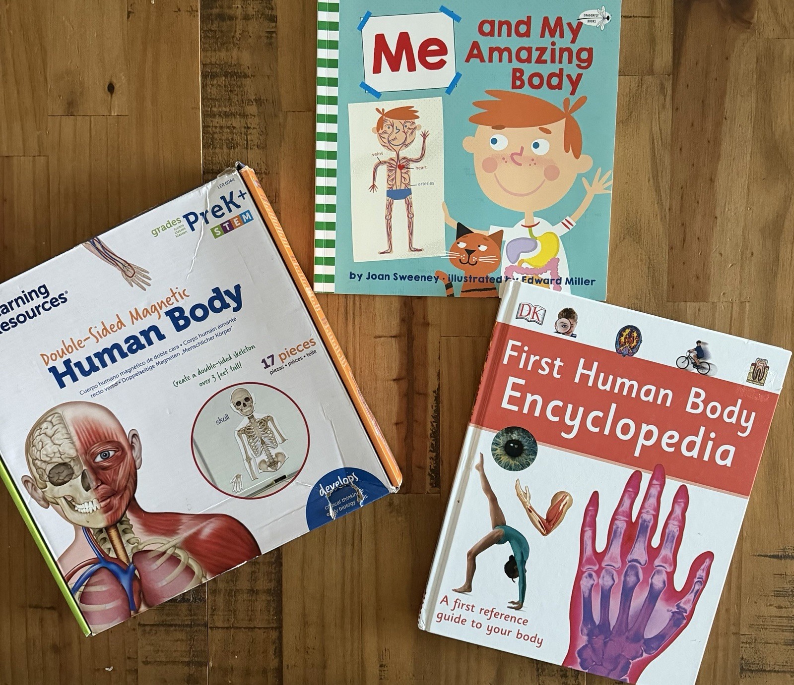 Body Human Body learning For Children Set Of 3 Montessori Hands on Learning